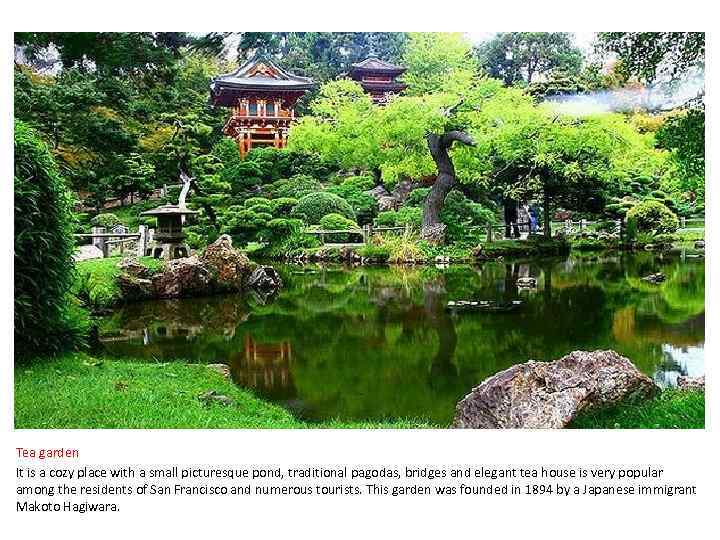 Tea garden It is a cozy place with a small picturesque pond, traditional pagodas,