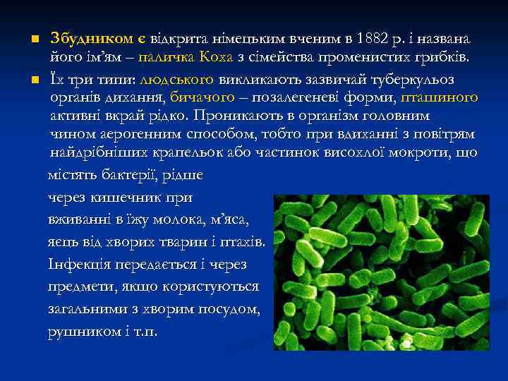 n n Збудником є відкрита німецьким вченим в 1882 р. і названа його ім’ям