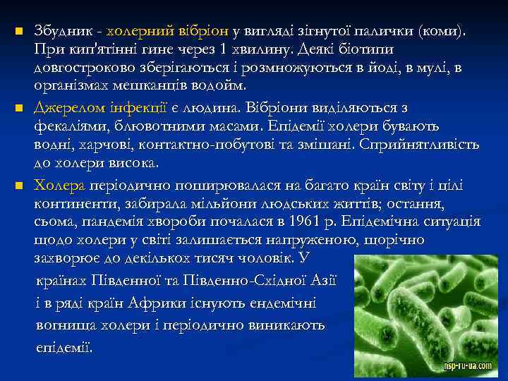 n n n Збудник - холерний вібріон у вигляді зігнутої палички (коми). При кип'ятінні