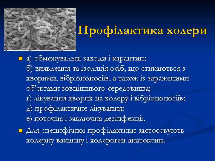 Профілактика холери n n а) обмежувальні заходи і карантин; б) виявлення та ізоляція осіб,