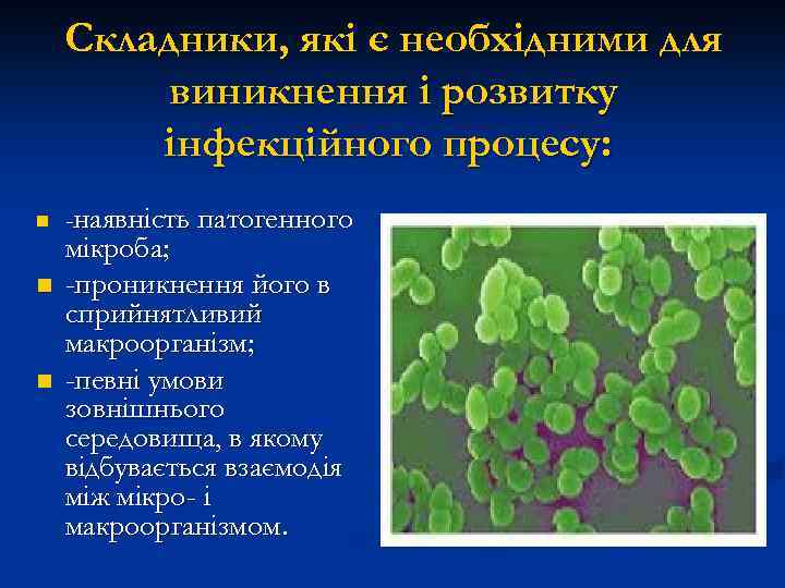 Складники, які є необхідними для виникнення і розвитку інфекційного процесу: n n n -наявність