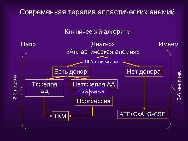 Апластическая анемия клинические рекомендации тесты с ответами