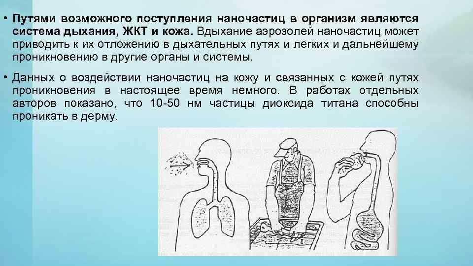  • Путями возможного поступления наночастиц в организм являются система дыхания, ЖКТ и кожа.