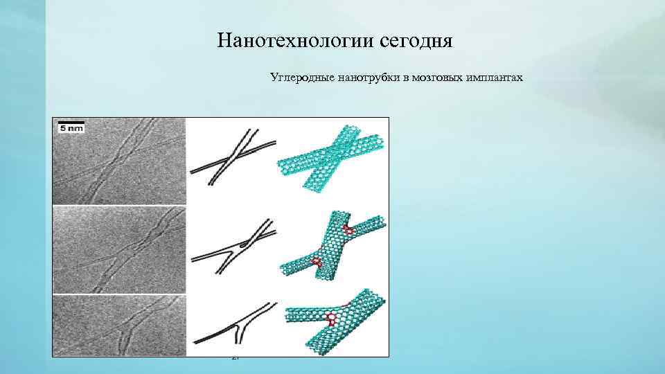 Нанотехнологии сегодня Углеродные нанотрубки в мозговых имплантах 27 
