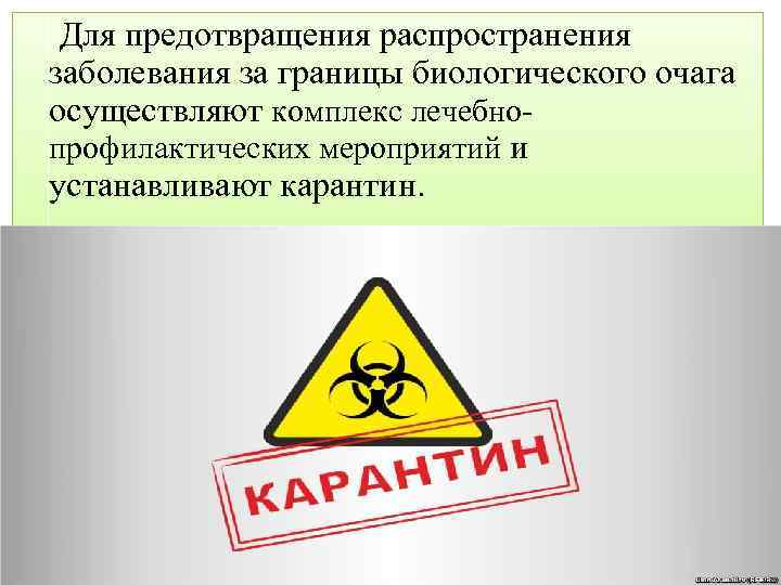  Для предотвращения распространения заболевания за границы биологического очага осуществляют комплекс лечебнопрофилактических мероприятий и