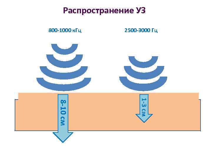 Распространение УЗ 800 -1000 к. Гц 2500 -3000 Гц 1 -3 см 8 -10