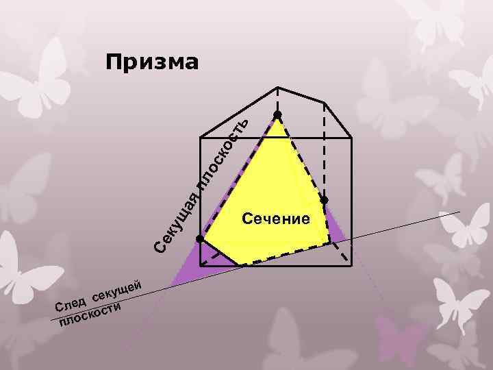 Се ку ща яп ло ск ос ть Призма ей кущ е ед с