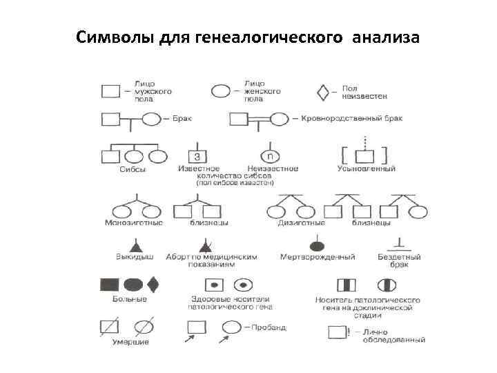 Символы для генеалогического анализа 