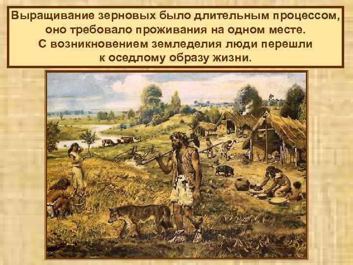 Выращивание зерновых было длительным процессом, оно требовало проживания на одном месте. С возникновением земледелия