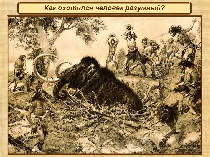 Как охотился человек разумный? 