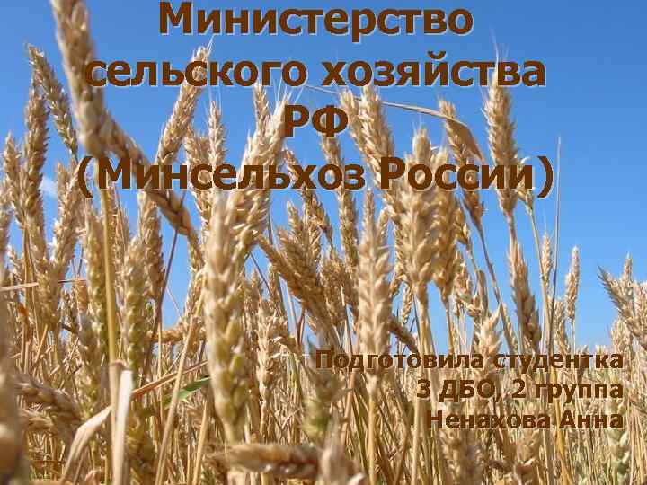 Министерство сельского хозяйства РФ (Минсельхоз России) Подготовила студентка 3 ДБО, 2 группа Ненахова Анна