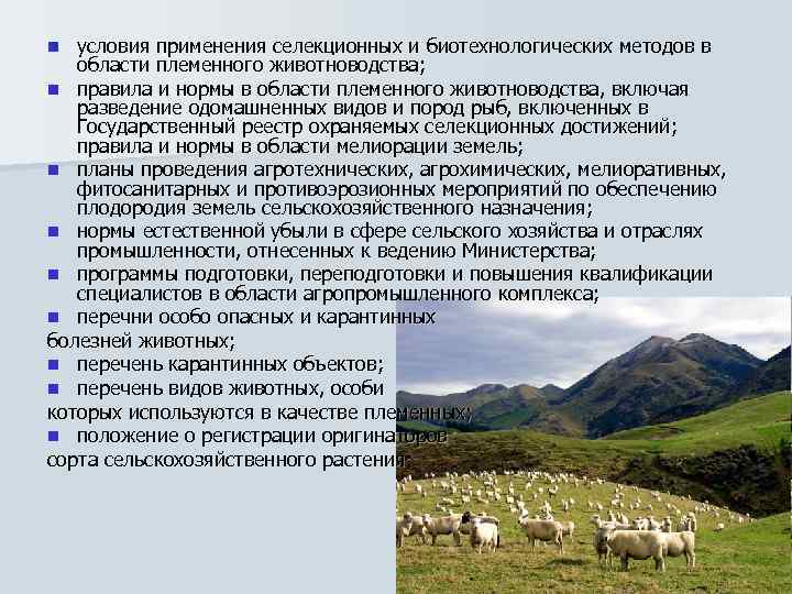 условия применения селекционных и биотехнологических методов в области племенного животноводства; n правила и нормы