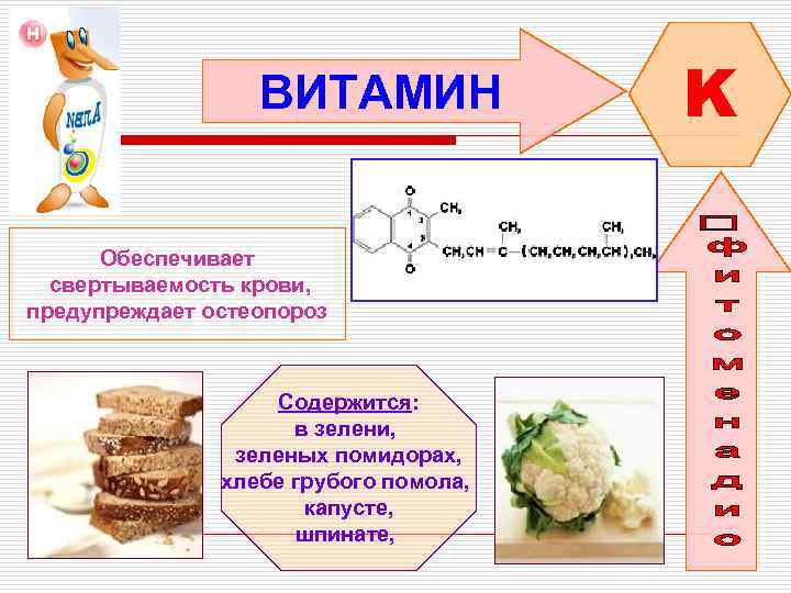 ВИТАМИН Обеспечивает свертываемость крови, предупреждает остеопороз Содержится: в зелени, зеленых помидорах, хлебе грубого помола,