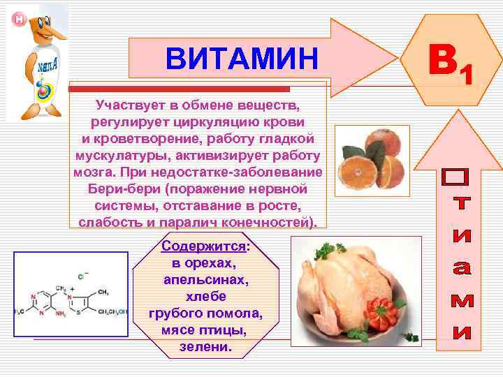 ВИТАМИН Участвует в обмене веществ, регулирует циркуляцию крови и кроветворение, работу гладкой мускулатуры, активизирует