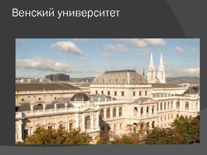 Венский университет 