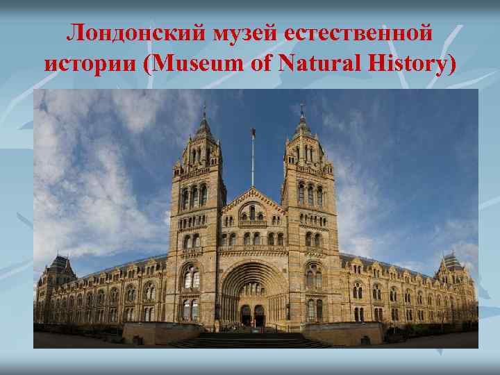 Лондонский музей естественной истории (Museum of Natural History) 