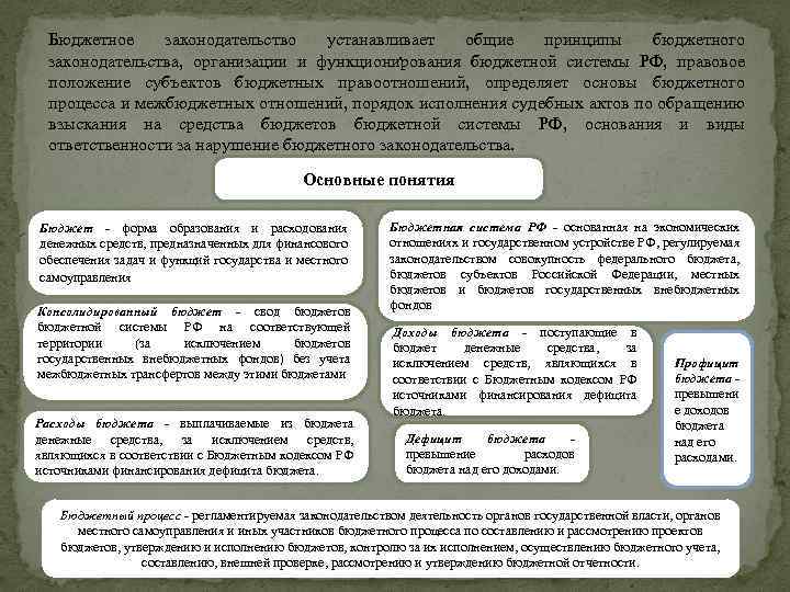 Бюджетное законодательство устанавливает общие принципы бюджетного . законодательства, организации и функционирования бюджетной системы РФ,