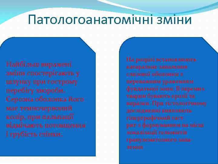 Патологоанатомічні зміни Найбільш виражені зміни спостерігають у шлунку при гострому перебігу хвороби. Серозна оболонка