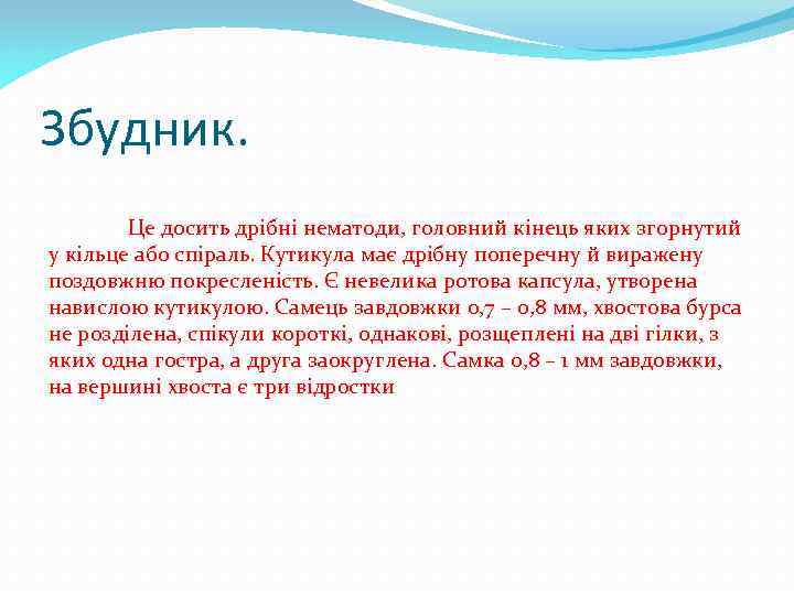 Збудник. Це досить дрібні нематоди, головний кінець яких згорнутий у кільце або спіраль. Кутикула