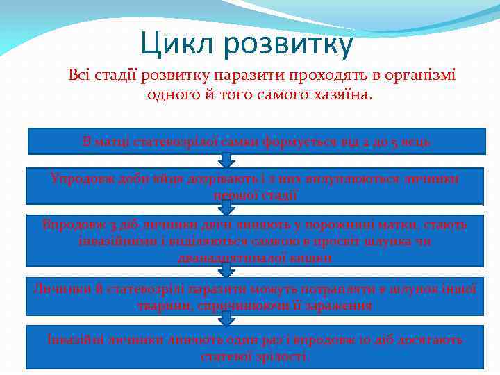 Цикл розвитку Всі стадії розвитку паразити проходять в організмі одного й того самого хазяїна.