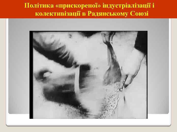 Політика «прискореної» індустріалізації і колективізації в Радянському Союзі 