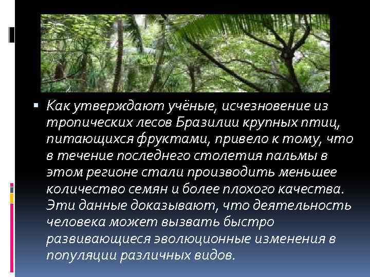 Основные экологические проблемы бразилии 7 класс география