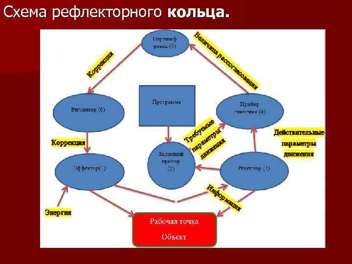 Схема рефлекторного кольца. 