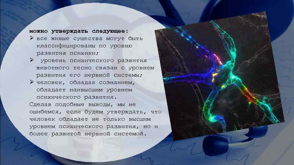 можно утверждать следующее: Ø все живые существа могут быть классифицированы по уровню развития психики;