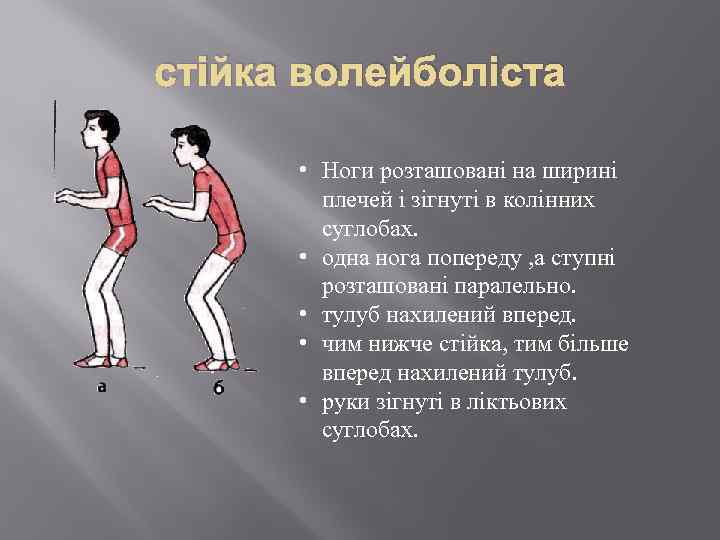 стійка волейболіста • Ноги розташовані на ширині плечей і зігнуті в колінних суглобах. •