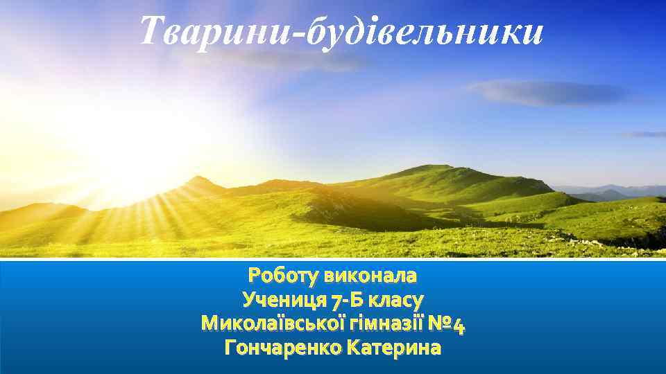 Тварини-будівельники Роботу виконала Учениця 7 -Б класу Миколаївської гімназії № 4 Гончаренко Катерина 