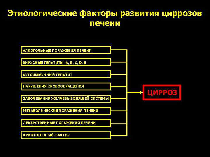 Этиологические факторы развития циррозов печени АЛКОГОЛЬНЫЕ ПОРАЖЕНИЯ ПЕЧЕНИ ВИРУСНЫЕ ГЕПАТИТЫ А, B, C, D,