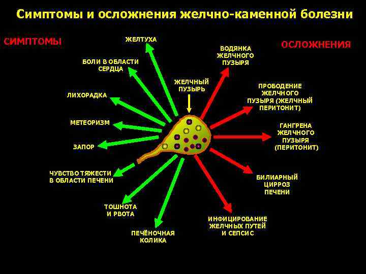 Симптомы и осложнения желчно-каменной болезни СИМПТОМЫ ЖЕЛТУХА БОЛИ В ОБЛАСТИ СЕРДЦА ЖЕЛЧНЫЙ ПУЗЫРЬ ЛИХОРАДКА