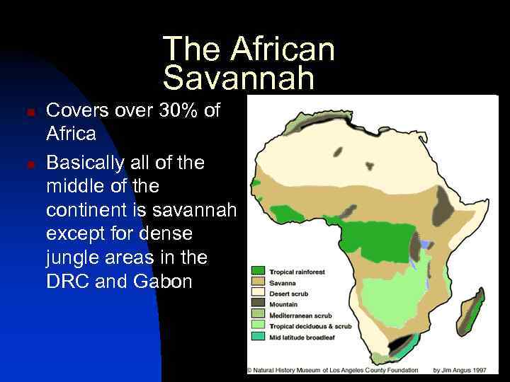 The African Savannah n n Covers over 30% of Africa Basically all of the