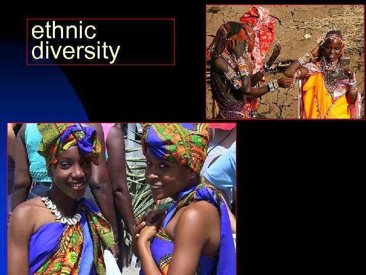 ethnic diversity 