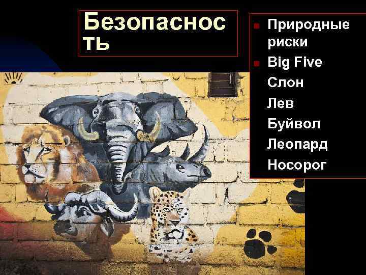 Безопаснос ть n n Природные риски Big Five Слон Лев Буйвол Леопард Носорог 