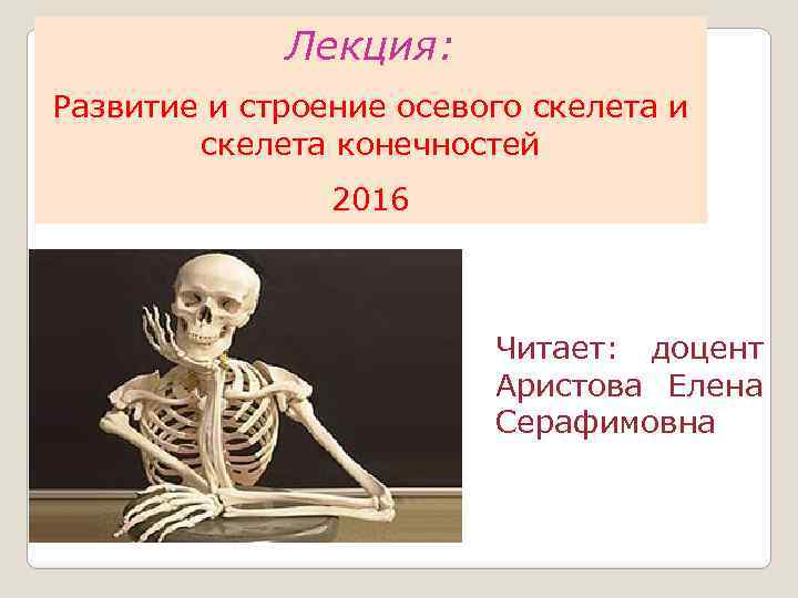 Лекция: Развитие и строение осевого скелета и скелета конечностей 2016 Читает: доцент Аристова Елена
