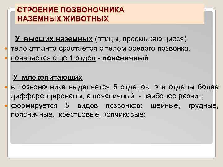 Общность плана строения позвоночных свидетельствует о