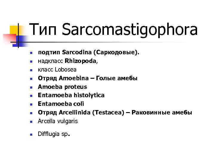 Тип Sarcomastigophora n подтип Sarcodina (Саркодовые). надкласс Rhizopoda, класс Lobosea Отряд Amoebina – Голые