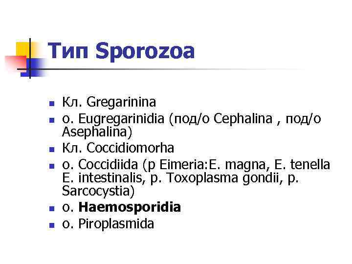 Тип Sporozoa n n n Кл. Gregarinina o. Eugregarinidia (под/о Cephalina , под/о Asephalina)