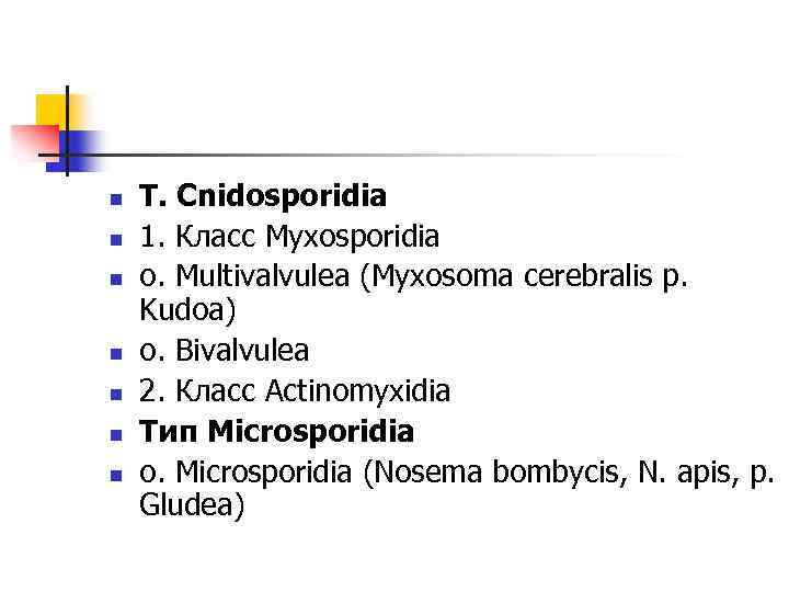 n n n n T. Cnidosporidia 1. Класс Myxosporidia o. Multivalvulea (Myxosoma cerebralis p.