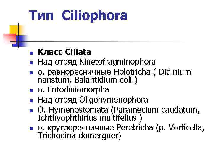 Тип Ciliophora n n n n Kласс Ciliata Над отряд Kinetofragminophora о. равноресничные Holotricha