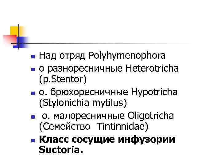 n n n Над отряд Polyhymenophora о разноресничные Heterotricha (р. Stentor) о. брюхоресничные Hypotricha