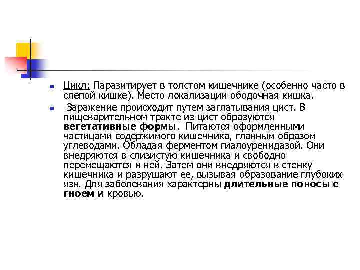 n n Цикл: Паразитирует в толстом кишечнике (особенно часто в слепой кишке). Место локализации