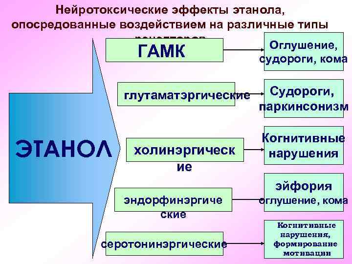 Нейротоксические эффекты этанола, опосредованные воздействием на различные типы рецепторов Оглушение, ГАМК глутаматэргические ЭТАНОЛ холинэргическ