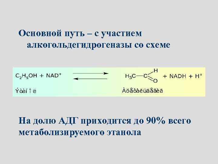 Основной путь – с участием алкогольдегидрогеназы со схеме На долю АДГ приходится до 90%