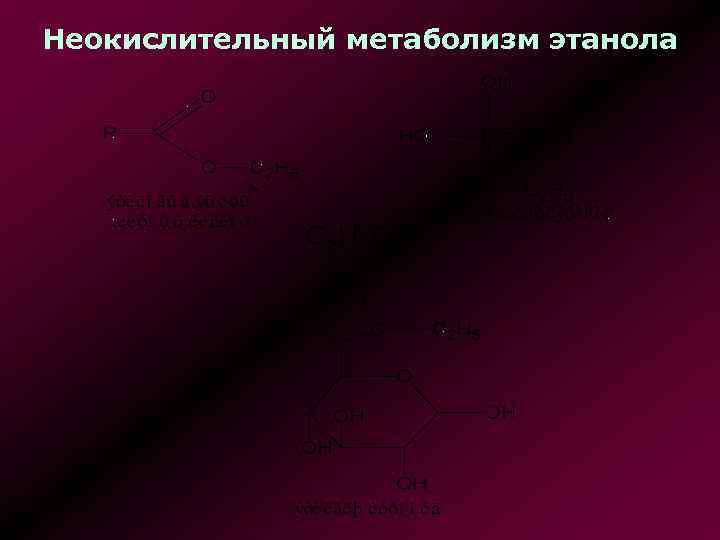 Неокислительный метаболизм этанола 