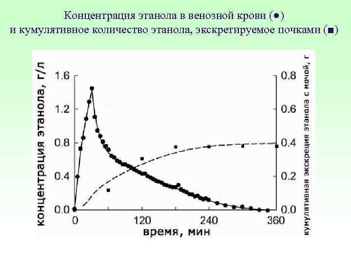 Концентрация этанола в венозной крови (●) и кумулятивное количество этанола, экскретируемое почками (■) 