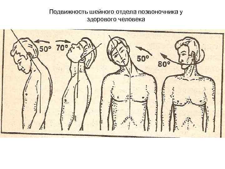 Амплитуда движений человека. Подвижность шейного отдела позвоночника. Исследование подвижности шейного отдела позвоночника. Движения в шейном отделе. Оценка подвижности шейного отдела позвоночника.