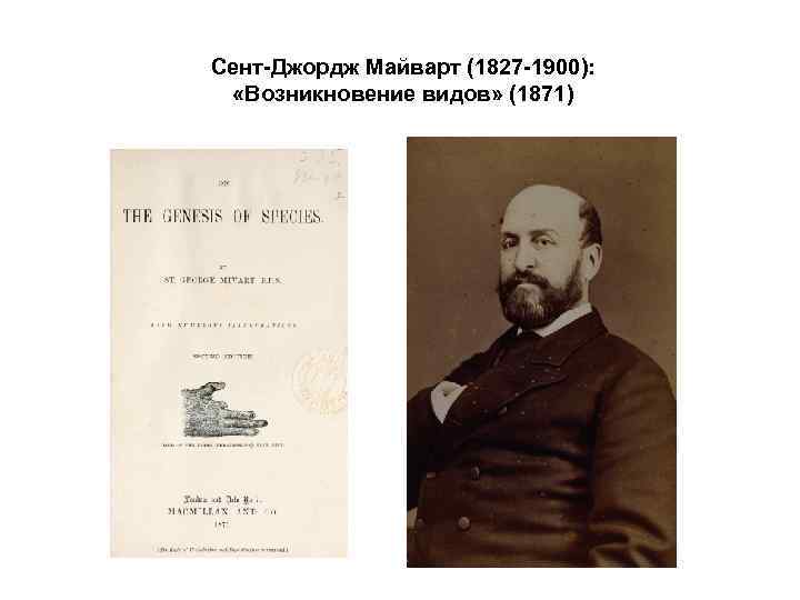 Сент-Джордж Майварт (1827 -1900): «Возникновение видов» (1871) 