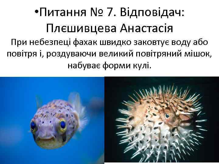  • Питання № 7. Відповідач: Плєшивцева Анастасія При небезпеці фахак швидко заковтує воду